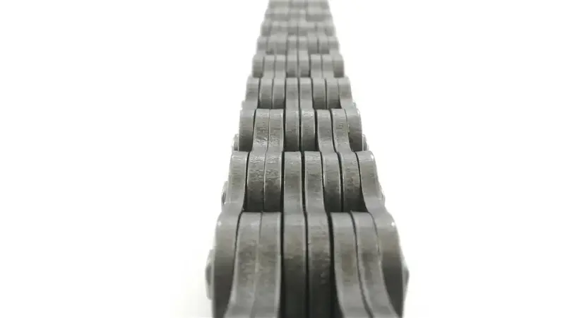 Bl1044 Ansi Leaf Chain – 1.25" Pitch, 10Ft Box 1